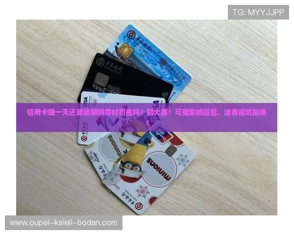 玩球水位怎么看 彩票与数字高频玩法防骗避坑指南 玩球水位怎么看 彩票与数字高频玩法防骗避坑指南